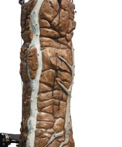 ΒΡΑΧΟΣ ΑΝΑΡΡΙΧΗΣΗΣ